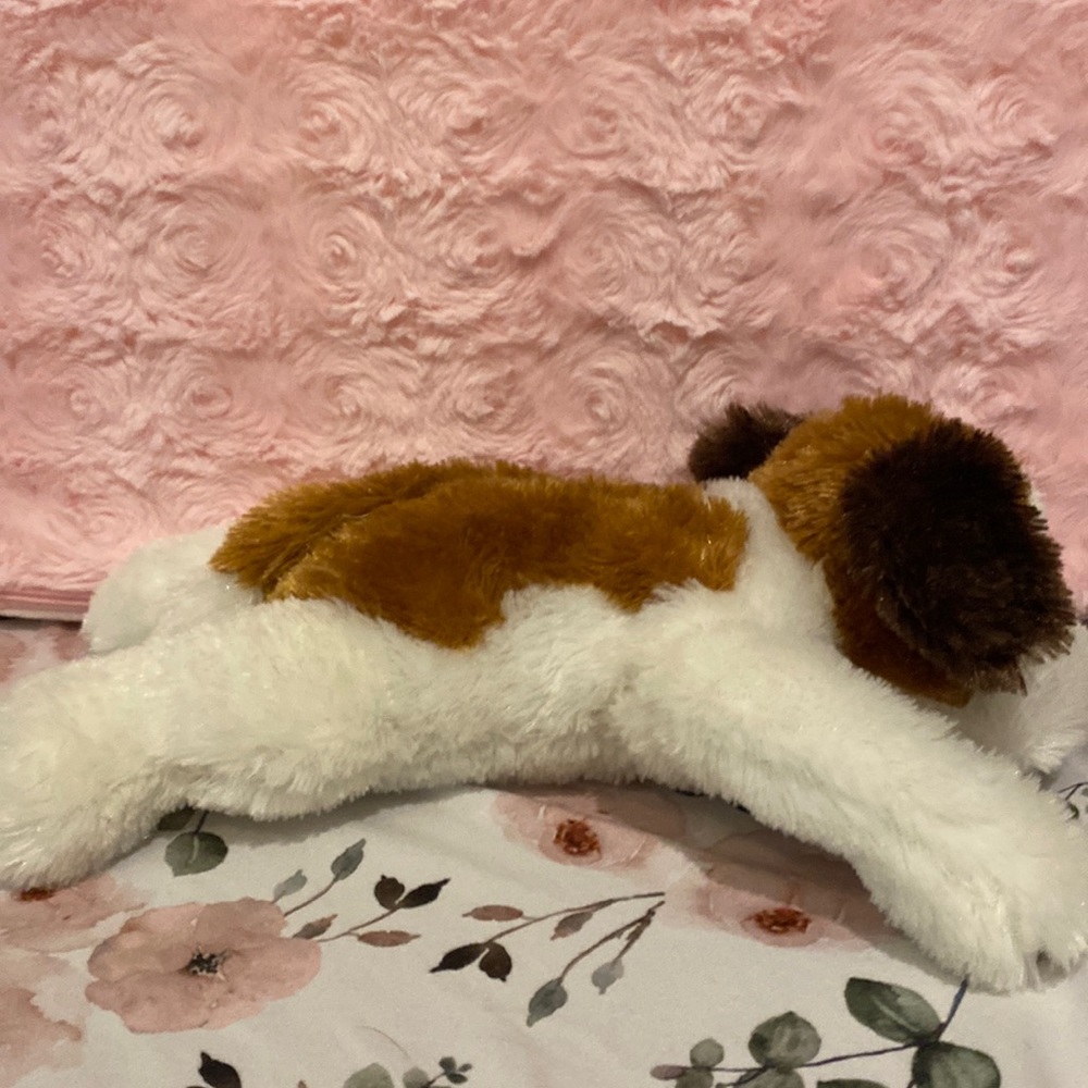 A dog